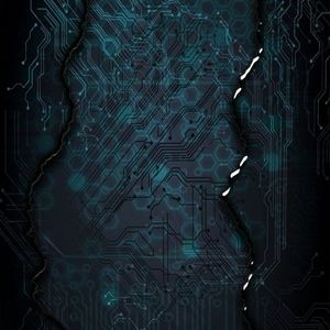 Meet your Posher, Alisha